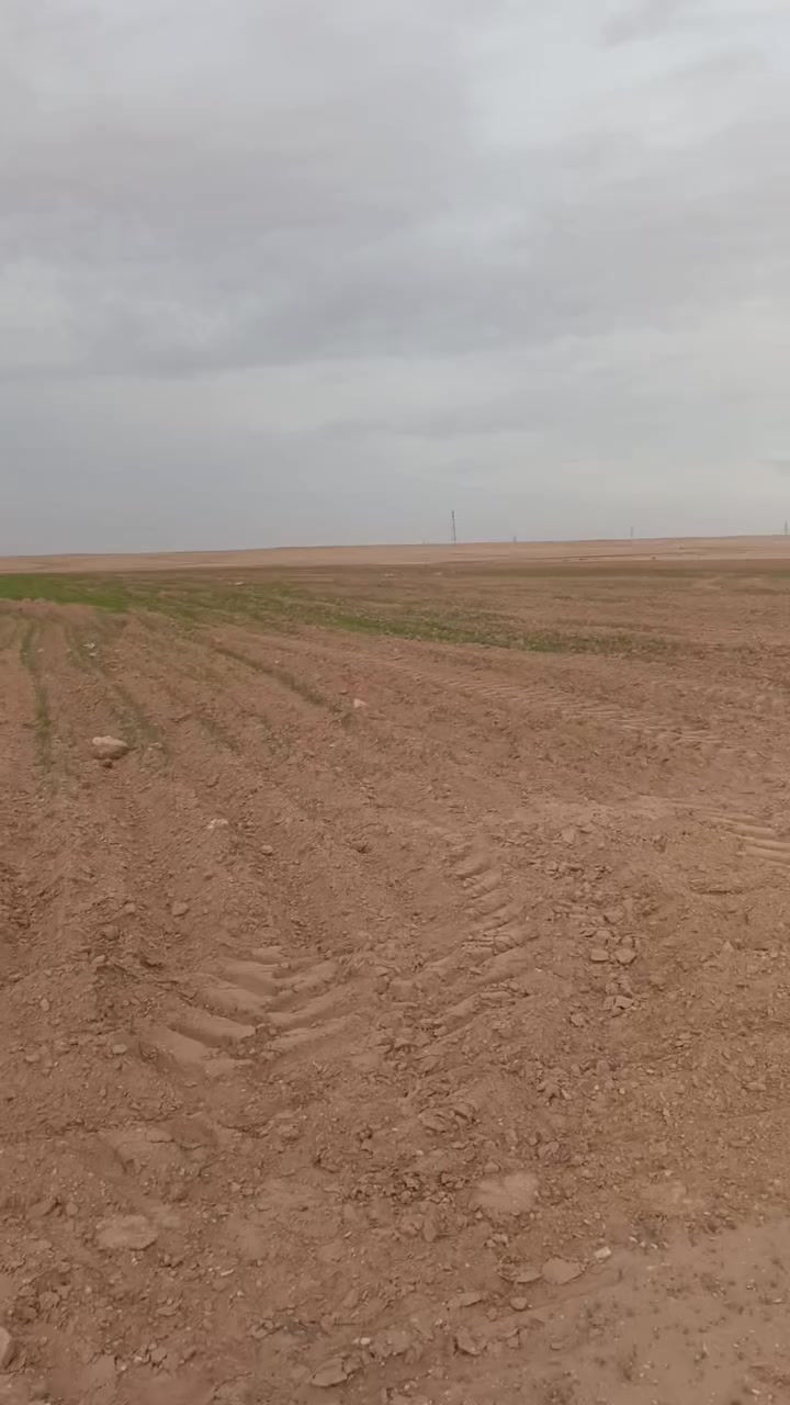 ارض زراعيه للبيع بين السماوه و قضاء السلمان على الشارع العام


**إذا كنت صاحب هذا الإعلان وتريد حذفه لأي سبب، رجاءا أرسل رسالة إلى الدعم الفني**