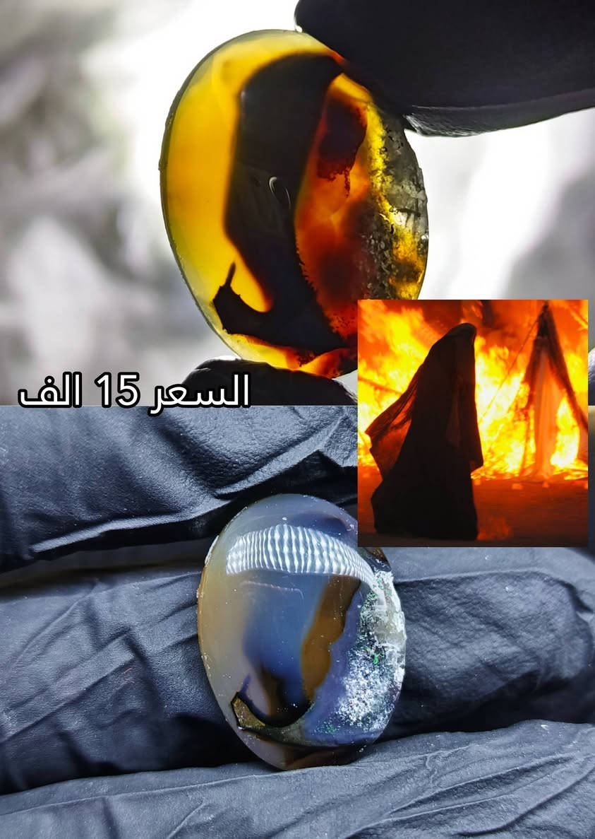 اللهم صل على محمد و ال محمد للحجز والتواصل واتساب (***********)
