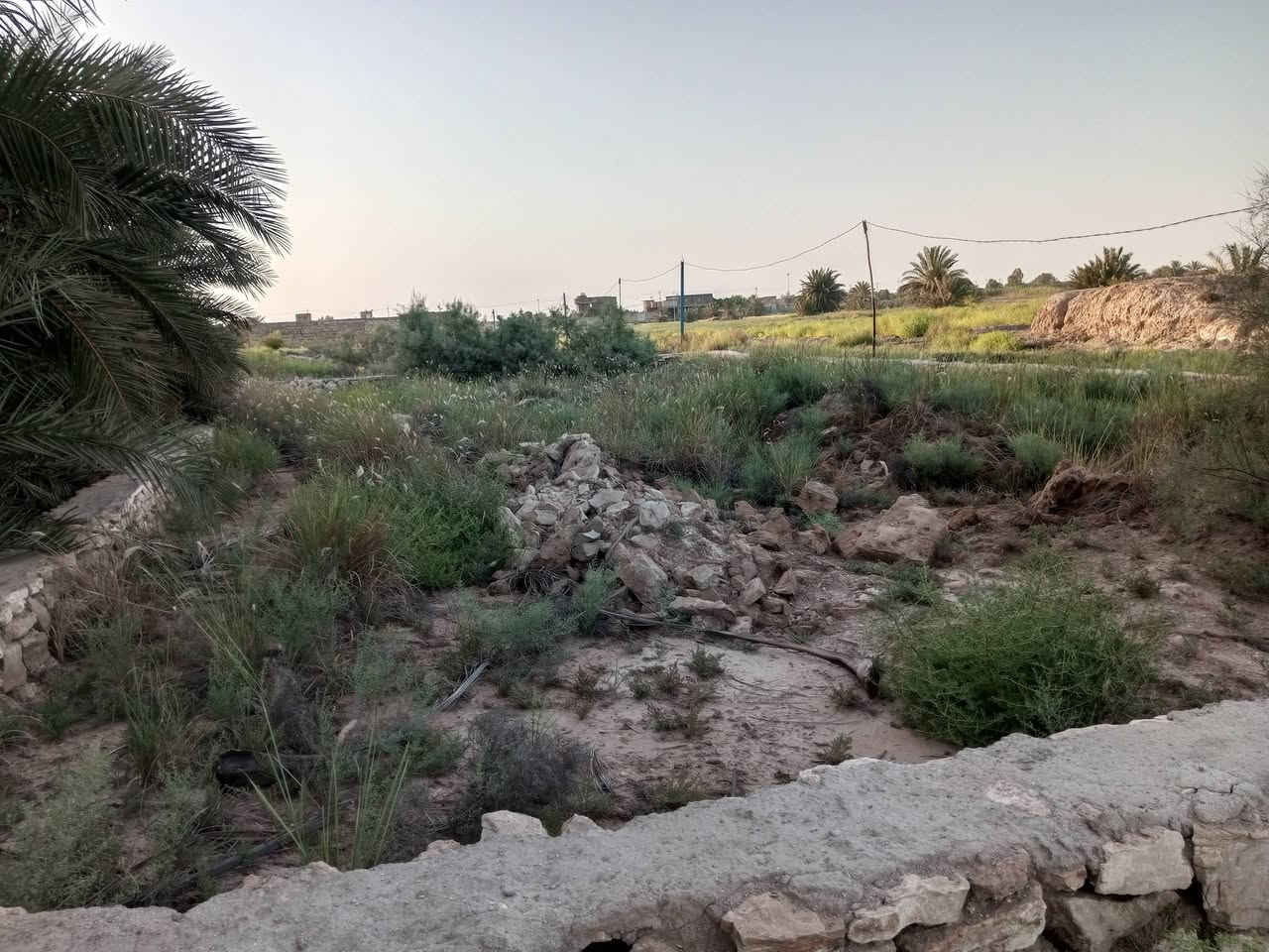 قطعه خلف المنتزه حي لمهندسين 360 متر طابو سند 25 زراعي مقابيل مجمع الرميثه  سعر 13
‏‪***********‬‏
