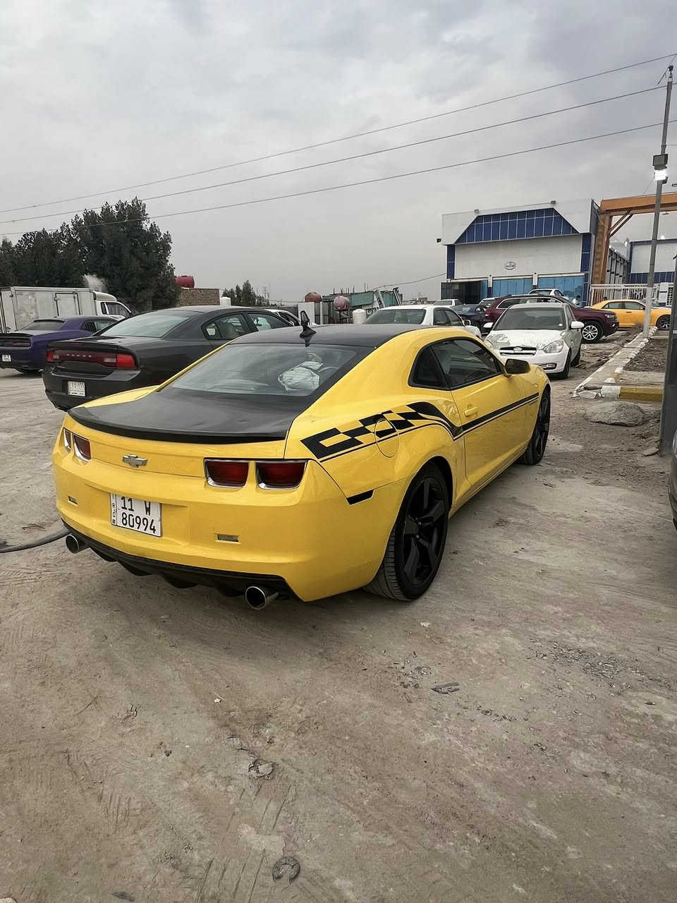 سلام عليكم من رخصا الكروب كمارو 12 خليجيه كفاله عامه مكينه 6 فول رقم بغداد مداور ثاني يوم السعر اتصل ع رقم وتدلل ***********
