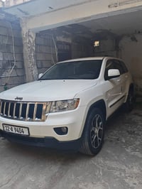موديل ١٠١١ • قطرة صبغ • الموصل الايسر