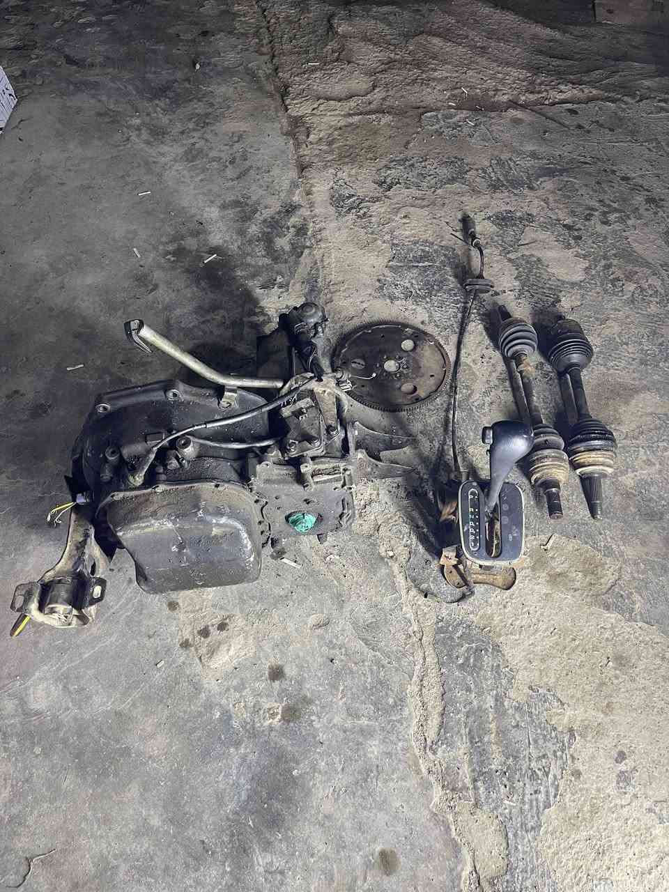 السلام عليكم كيرحاويه بي ضمان عل شد    ابو المدفع كامل درايم شفتات عصه كير فلاوين فايسنكير ينشد بدون عقل /رقمي*********** مكاني بغداد سعره600وبي مجال
