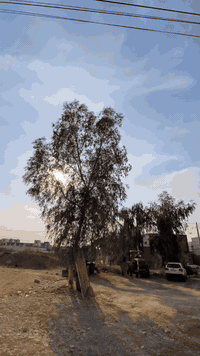 الكندي الاولى • ١٠٠/١٥٠/٢٥٠م • شارع٢٠م