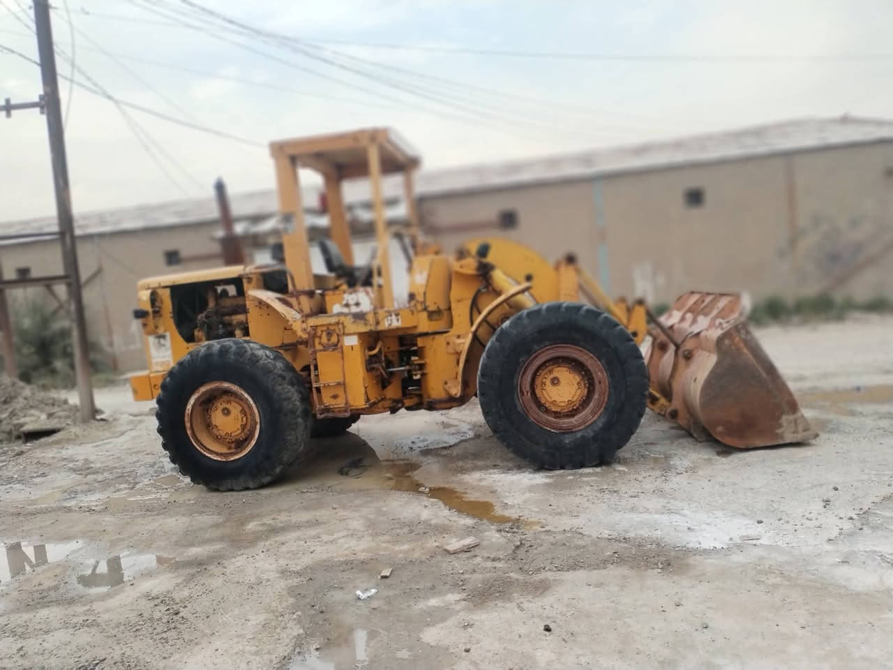 من رخصه الادمن شفل كتر بلر ناين ففتي ٩٥٠ موديل ١٩٧٩ محرك كير خير من الله ستيرن متحرك للبيع العنوان عويريج رقم الهاتف *********** و***********و***********
