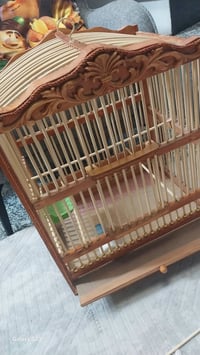 قفص بلبل • نظيف • بعقوبه حي المهندسين