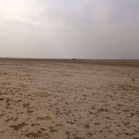 دوم الملح • ١٧ دونم • بيع مستعجل