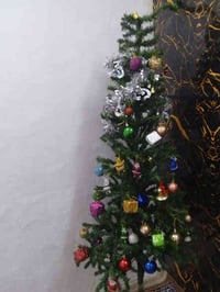 شجره كريسماس • الحريه الاولى