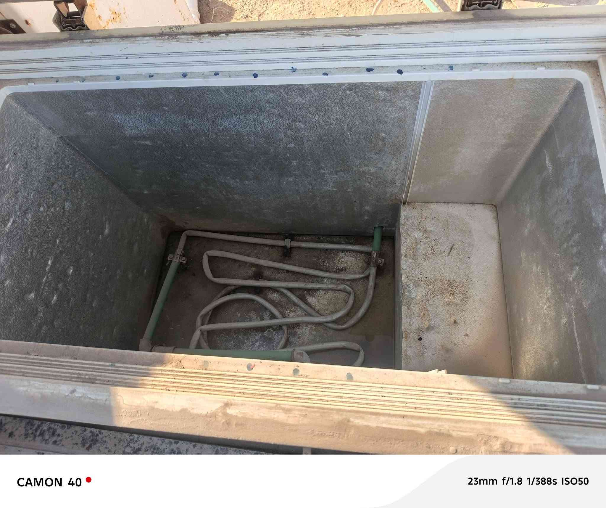 كشر مجمده البيع السعر 10 مابي  مكان نجف ***********
