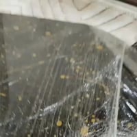 ستان عرض ملابس  تسكام جديد شكد تريد موجود لون ذهبي رتفاعه 170يطول وينز...