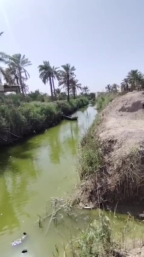 قطعة ارض 1000 متر طابو سهم واجهة 25 ونزال 40  وبظهرها نهر 6متر فرعي من نهر ابو مغيرة . ماي كهرباء . الجار قبل الدار ناس طيبين ومنطقة هادئة  السعر 150 وبيه مجال . ابو كوصرة قرب حسينية قاسم جري رقم الهاتف *********** الشراي فقط .
