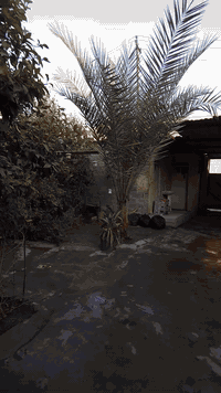 السلام عليكم 
بيت للبيع طابقين مساحة( 410)متر
(( واقع حال))
كراج كبير ومحل جاهز +استقبال كبير +هول كبير+ صالة كبيرة +مطبخ كبير+ قطعة كاع كبيرة خلف البيت//
((الطابق الثاني)) 
يحتوي على       
 غرف اسويتات عدد/2/
حجم الغرفة 6×4 +حمامات
+غرفة صغيرة
حجم 3.5×4
السعر ((260))
موقعة العبيدي نهاية شارع الجامع ..للأستفسار اتصل 
***********
***********
