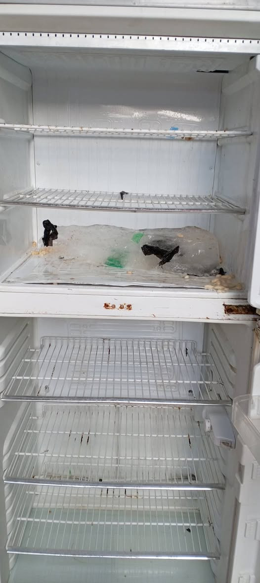 ثلاجه شغاله اخت جديدها مااخله تصليح مكان بل كماليه سعر 125بي مجال اتصل ع رقم *********** حجم كبير 22قدم
