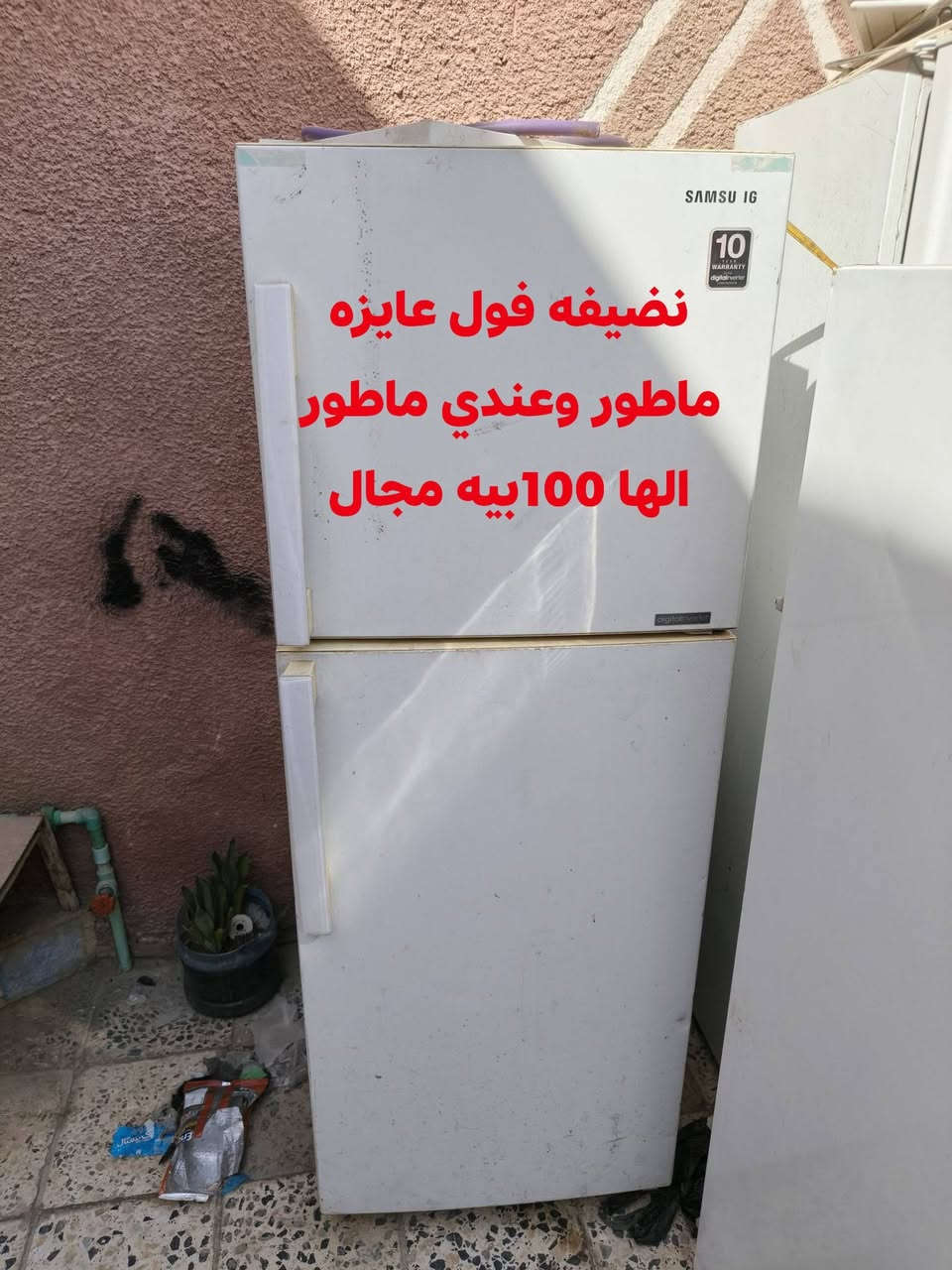 سلام عليكم اخوان عندي ذني ثلاجات ومجمده بيهن شغالات وبيهن ميشتغلن
عطلهن بسيد وكل وحده سعره مكان نجف ابوصخير خابر وبيك 
خير وتدلل***********
