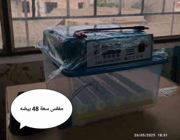 ابدأ مشروعك بحضّانة البيض الذكية 
🐣 حيث تقدر تبدأ الأن وتحوّل حلمك إلى حقيقة ودخل ثابت ومربح💰💸
مشروع مضمون ، تشغيل سهل ، ونتائج مبهرة تصلح لجميع انواع بيوض الدواجن
🦆  🐥  🐓  🦃  🦚  🦢  🦜
نسبه تفقيسها  تتخطى 98 % 🤩🎀🎁
# لأول مرة فقاستنا تعمل الكترونياً من  حيث تقليب البيض وتنظيم درجة حرارة ورطوبة المفقس كونها مزوده بقناني ماء من دون اي تدخل انت ماعليك إلا إدخال البيض .
عند إنقطاع الكهرباء تتحول اوتوماتيكياً الى التشغيل بالبطارية بمجرد ربط قوابس البطارية .
👇 تخفيض وبارخص الاسعار👇🏻الاحجام المتوفرة واسعارها 💰 
1 - مفقس سعة 32🐥 بسعر 80 الف 
2 - مفقس سعة 36🐥 بسعر 90 الف
3 - مفقس سعة 48🐥 بسعر 100 الف
🚚 لدينا خدمة توصيل لجميع محافظات العراق بمبلغ 5 الاف دينار
🐥 🐥 🐥 
🌀 مميزات الحضّانات:🕊️
✔ شاشة رقمية للحرارة والرطوبة
✔ تقليب أوتوماتيكي كل ساعتين
✔ إنذار عند أي خلل
✔  منخفض جداً
🛠️دعم فني ومتابعة مستمرة 
للتواصل على رقم الهاتف *********** يوجد واتس اب ايضاً.
