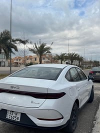 قين بلس • ٢٥٠٠٠ كم • أربيل