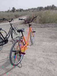 باسكل • مشلبيه • مديل 22