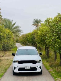 فول مواصفات • ٢٠٢٣ • رقم اربيل