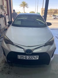 كورلا • ٢٠١٧ • وراد امريكي