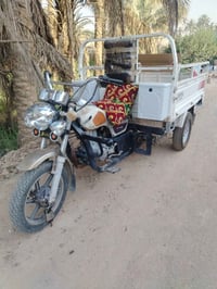 ستوته • ٢٠٢١ • كربلاء المقدسة