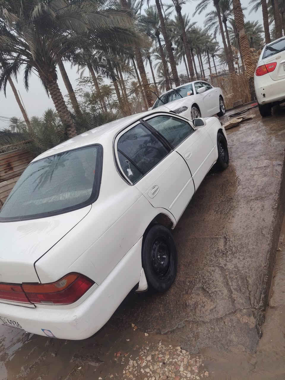 السلام عليكم كورله مديل 92
رقم نجف دولي سنويه لل 29 مشروع وطني 
مكينه وكير كرهبيات جاهزه مكفوله من الكص  والنقل 
العنوان نجف عباسيه السعر 47
***********
