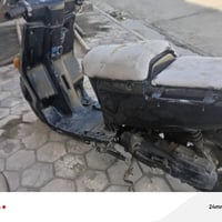 بيكم • ياباني • كوت الزهراء