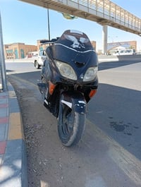 فورزه • ٢٠٠٨ • شغاله