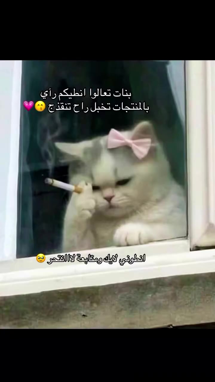 عروض رمضان المبارك ما تخلص حبايبي
يتوفر توصيل لكل محافظات العراق 
 #جمال#عنايه#تجميل


**إذا كنت صاحب هذا الإعلان وتريد حذفه لأي سبب، رجاءا أرسل رسالة إلى الدعم الفني**