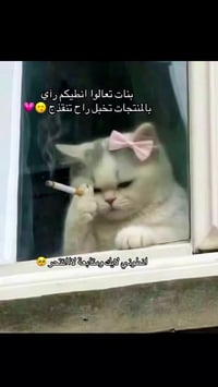 عروض رمضان • توصيل لكل المحافظات • مستحضرات تجميل