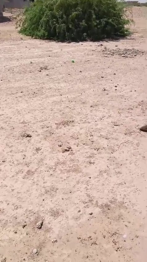 قطعة أرض للبيع بالكهرباء الثانيه ركن
مساحة 250 متر مربع وجه 12.5 نزال 20
قطعة شارعها 15 متر كدامها حديقه رسميه
طابو صرف بأسمي تحويل مباشر 
الاستفسار مراجعة مكتب عقارات الزيتون أو مكتب منيف للعقار 
*********** منيف الحديثي  
*********** عبدالقادر
