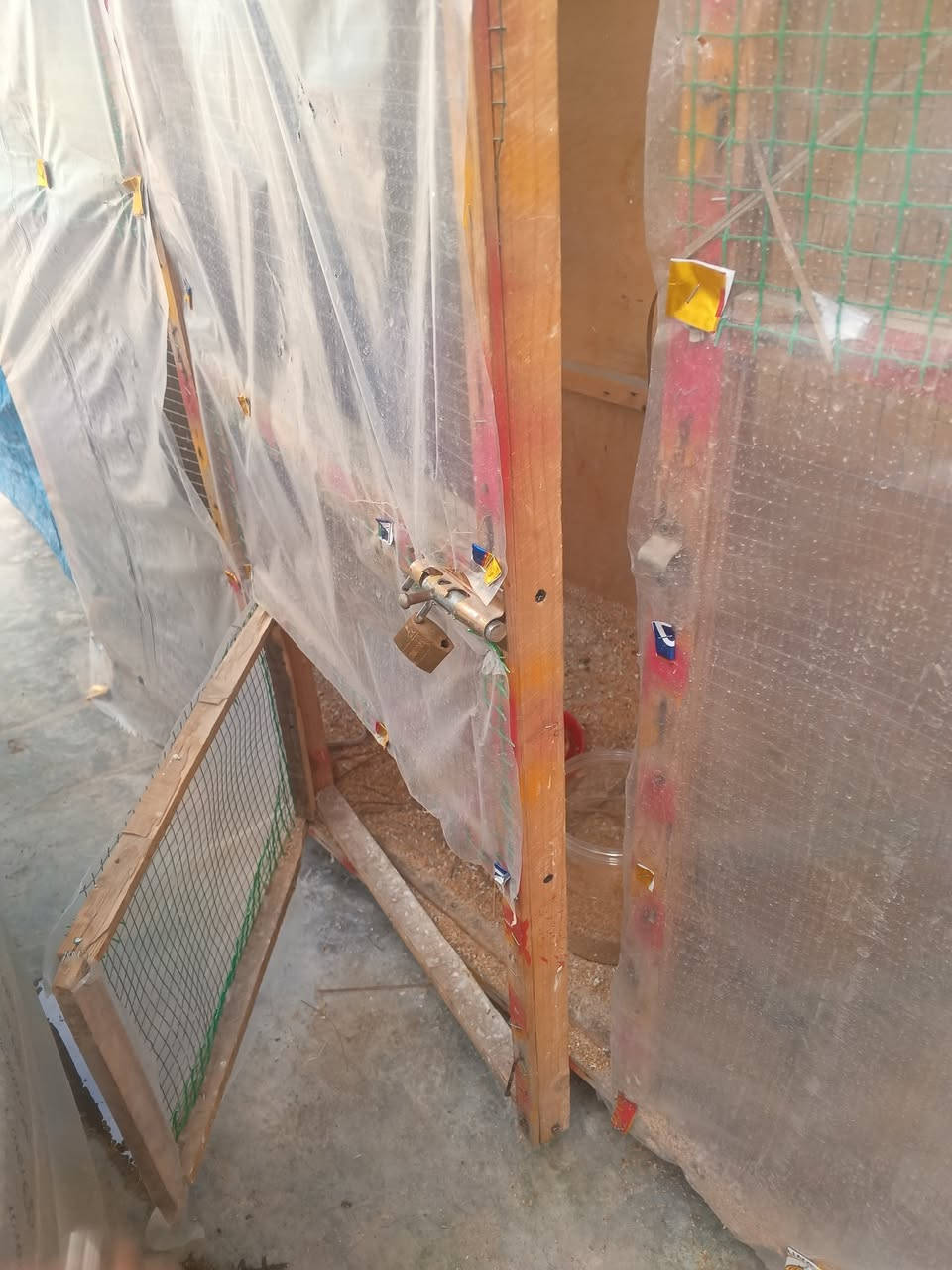 السلام عليكم
م ت اح 
قفص او محميه 
واجهيا مترين طول مترين عرض متر )) رايده  (( 50 ))


**إذا كنت صاحب هذا الإعلان وتريد حذفه لأي سبب، رجاءا أرسل رسالة إلى الدعم الفني**