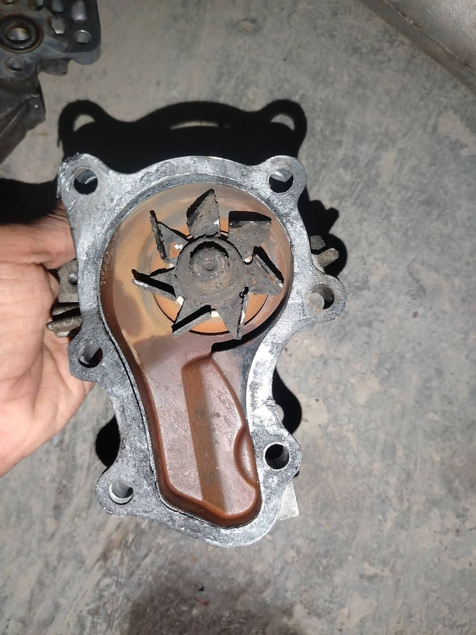 اغراض تفصيخ لانسر بومه لبيع بل كوت  ***********
