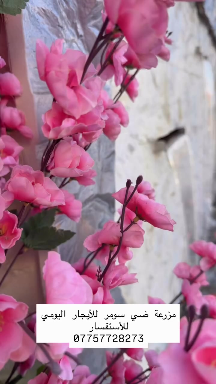 للحجز او الاستفسار الاتصال ***********
