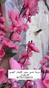 للحجز او الاستفسار الاتصال 07757728273