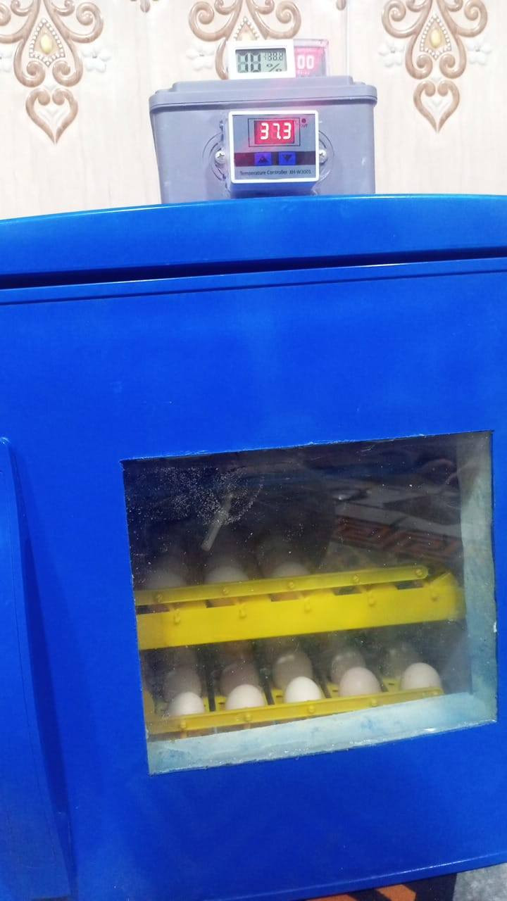 جاروشه أعلاف الدواجن
قناتي عله اليوتيوب فقاسات سيد سلام *********** تصنيع وبيع جميع الجاروشات والفقاسات
