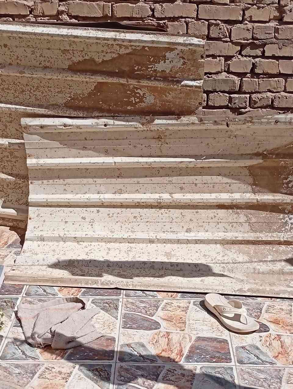 جينكوا عدد9 قطع على متر ونص ب45
ديوانية السنيه 
***********
