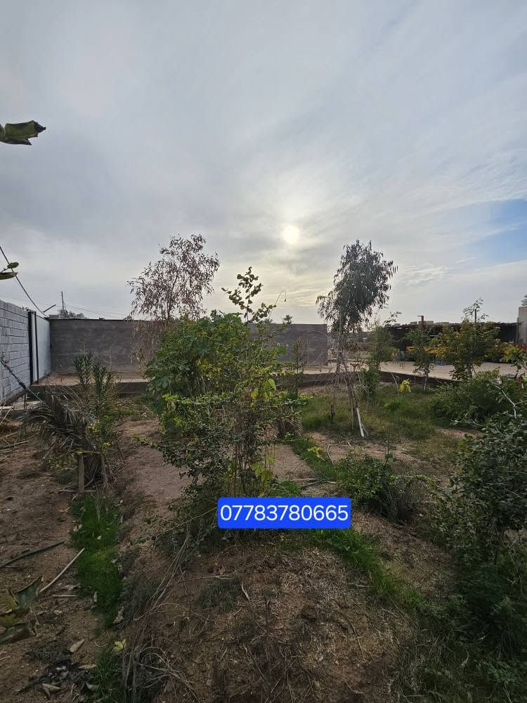 🏡 دونمين للبيع – فرصة مميزة للاستثمار والسكن
📍 الموقع: البصرة / أبي الخصيب – طريق الصحراء
قريب على الشارع العام (السايدين)
📐 المساحة: دونمين كاملين
📜 النوع: طابو ملك صرف – تحويل مباشر باسم المشتري
🏠 تفاصيل العقار:
• يحتوي على دار بمساحة 300 متر
• بناء طابوك 
• الأرض مخدومة بالكامل
🌊 مميزات إضافية:
• محاطة بنهر من جميع الجهات (موقع مميز وهادئ)
• مناسبة للسكن أو مشروع استثماري (شاليه / استراحة  للاستفسار الاتصال على الرقم 
*********** البصرة, العراق
