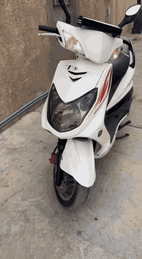 سكنس فحل رمبه دراجه جديده مكفوله كفاله عامه ختم واحد بيها كلجات رياضي ...