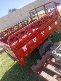 ستوتة • شاصي • بدي جديد