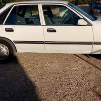 برنس • للبيع • فلوجه