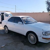 بطه • مكفولة • نجف