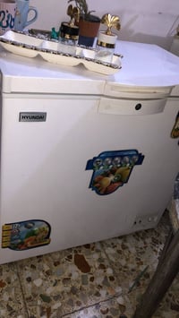 شباب مجمدة العدد 2 البيع السعر 450وبيهن مجال التواصل 07737928091