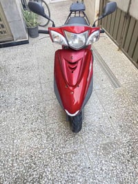 ببغاء ياباني نوزل خطين دراجه رمبه كفاله عامة كلها بلاديه مكاني بغداد 0...