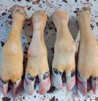 كراعين عجل • فرش درجه اولى • ٣ كيلو