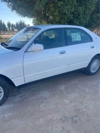 بطة منفصل • مكفوله • رقم بصرة