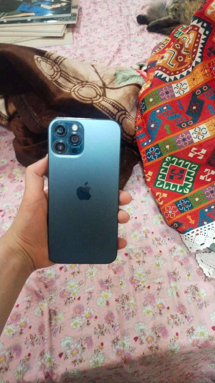 يفون 12برو ماكس ‏مبدل الشاشة وبطارية ذاكره 256وبصمة مايشغل وبطاريه 100 كلش حلو ونظيف العسر270
راسل واتساب ***********
