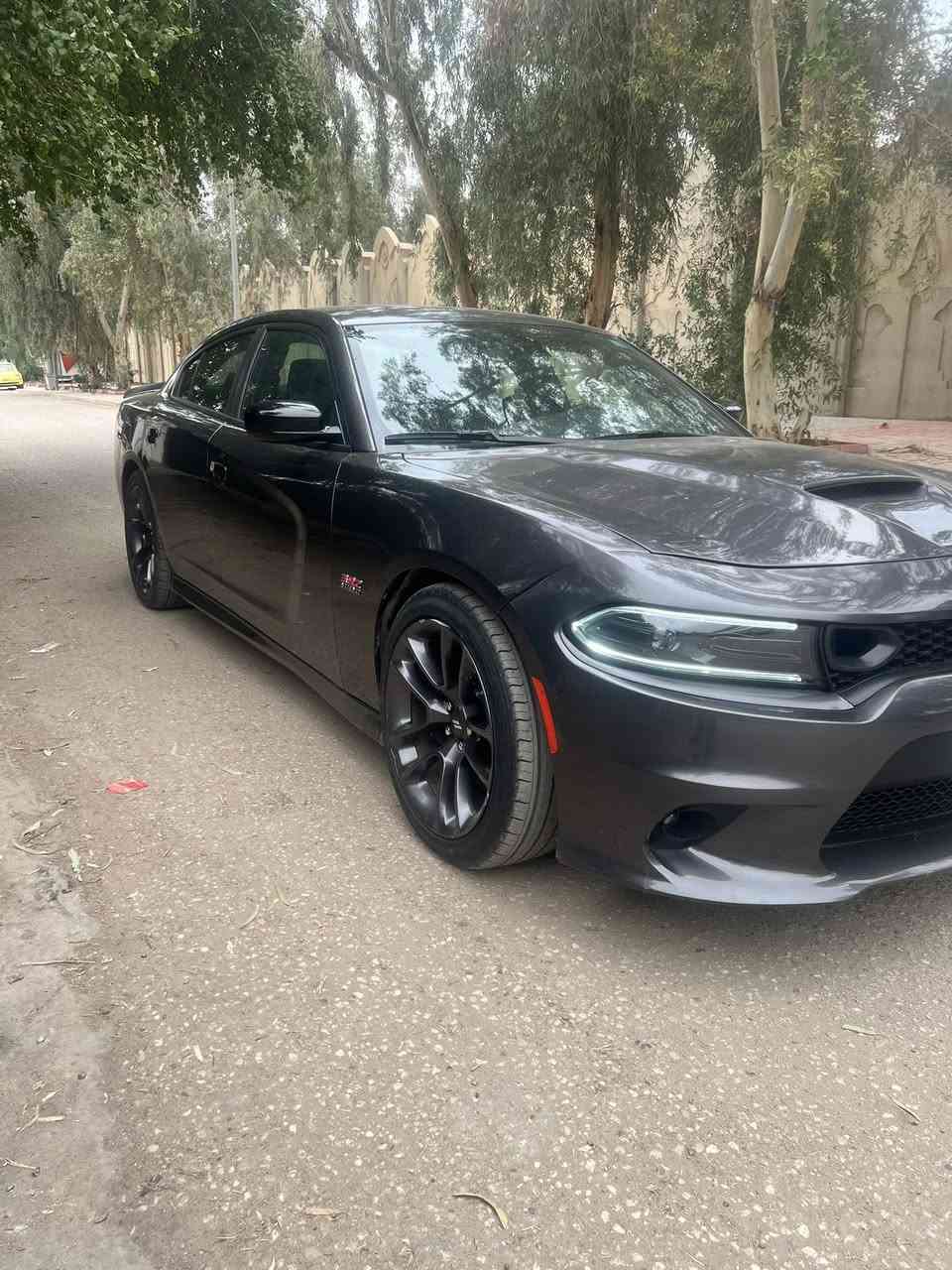 جارجر سكات باك ٢٠٢٣ ((رقم بغداد)) للبيع
السعر 245 وبيه مجال
ماشيه ٢٤ الف 
مواصفات عادية كشنات قماش 
شاشة كبيرة
سستم صوت الباين
حساسات خلفية 
كرسي السايق كهرباء
تدفئة كشنات تدفئة ستيرن
عليها برمجة فصلة مفتوحة حماوه ثابتة واكزوز معدل وكلش قوية السيارة 
حادث السيارة موضح بالصور البنيد مبدل و جاملغ خلفي  مصبوغ شبر منه ايرباك ستيرن ودشبول 
مكان السيارة بغداد الحارثية
للاستفسار ***********
