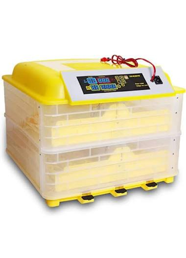 السلام عليكم مفقس للبيع. السعه 112 بيضه مطلع منه وجبتين والتفقيس خير من الله وطريقه اسخدامه على اليوتيبوب المكان ميسان الميمونه السعر 125 اخواني هاي كل التفاصيل اذا مو شراي لا طبلي خاص


**إذا كنت صاحب هذا الإعلان وتريد حذفه لأي سبب، رجاءا أرسل رسالة إلى الدعم الفني**