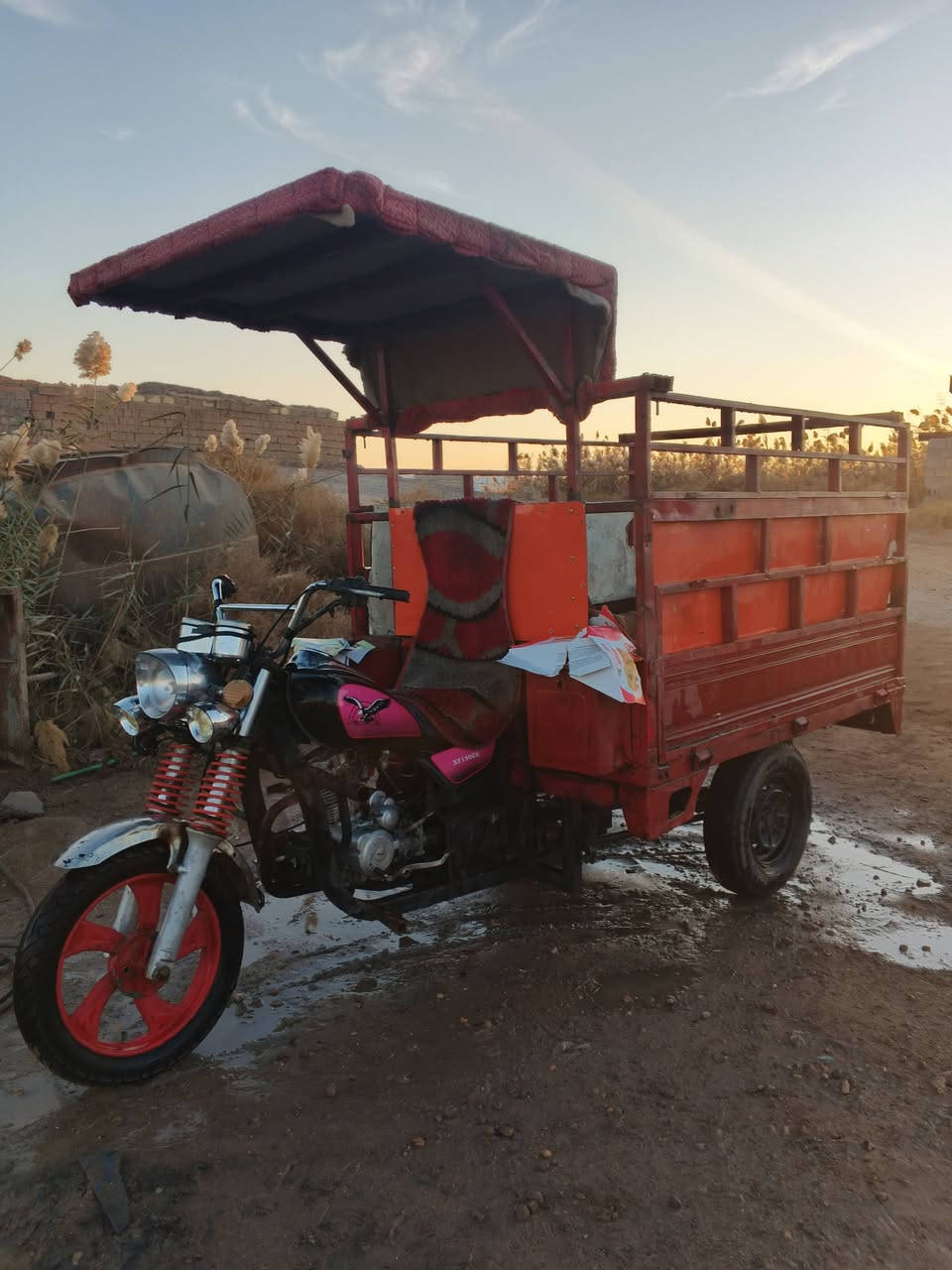 ستوتة جمرة للبيع مثل ما وضح ب صورة رايده ب ٧٠٠ ومجاله قليل مكانه رمادي سبعة كيلو و رقمي للتواصل ***********
