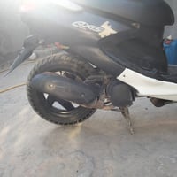 دولفين فحل البيع٠٧٨٩٣٥٧١٧١٨