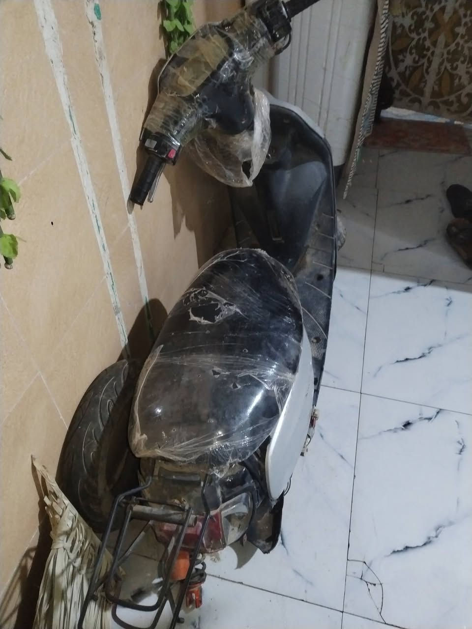 سلام عليكم منغولي فحل بدون مكينه ضفيره كامله دبل رياضي كامله مكمله سعره 35


**إذا كنت صاحب هذا الإعلان وتريد حذفه لأي سبب، رجاءا أرسل رسالة إلى الدعم الفني**